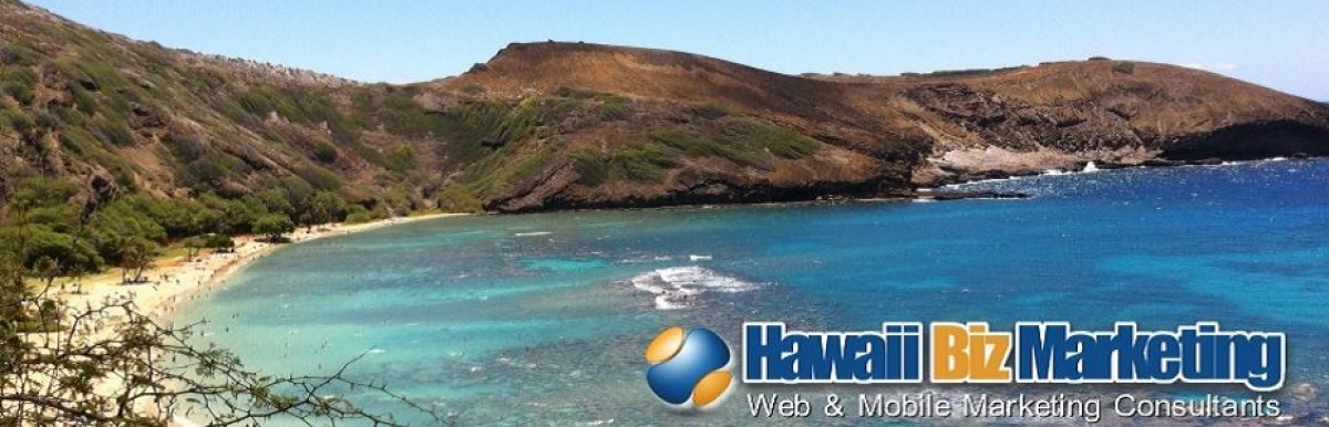 Hawaii Biz Marketing